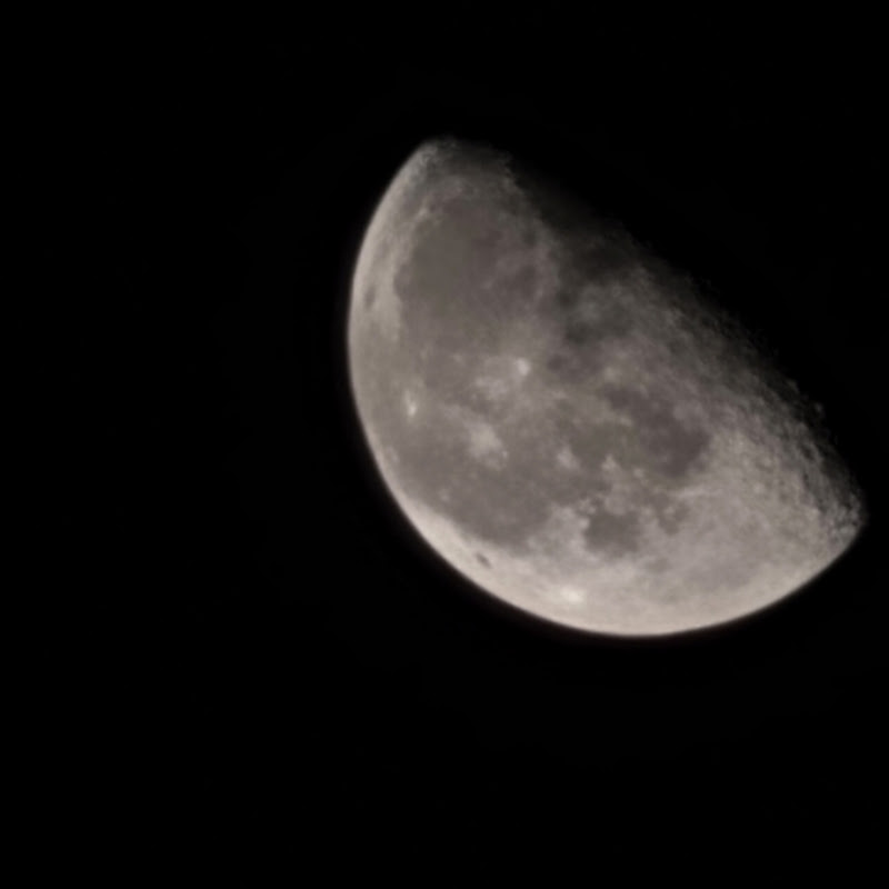 الترند الجديد