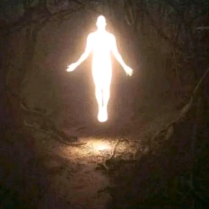 ☔Chroniquement amer☔