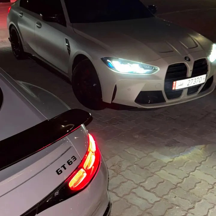 الهاملي