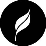 Leaf Studios