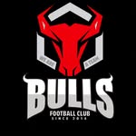 𝘽𝙐𝙇𝙇𝙎 𝙁ootball Club & Academy