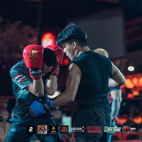 Steve Art ”นักลงนวม“