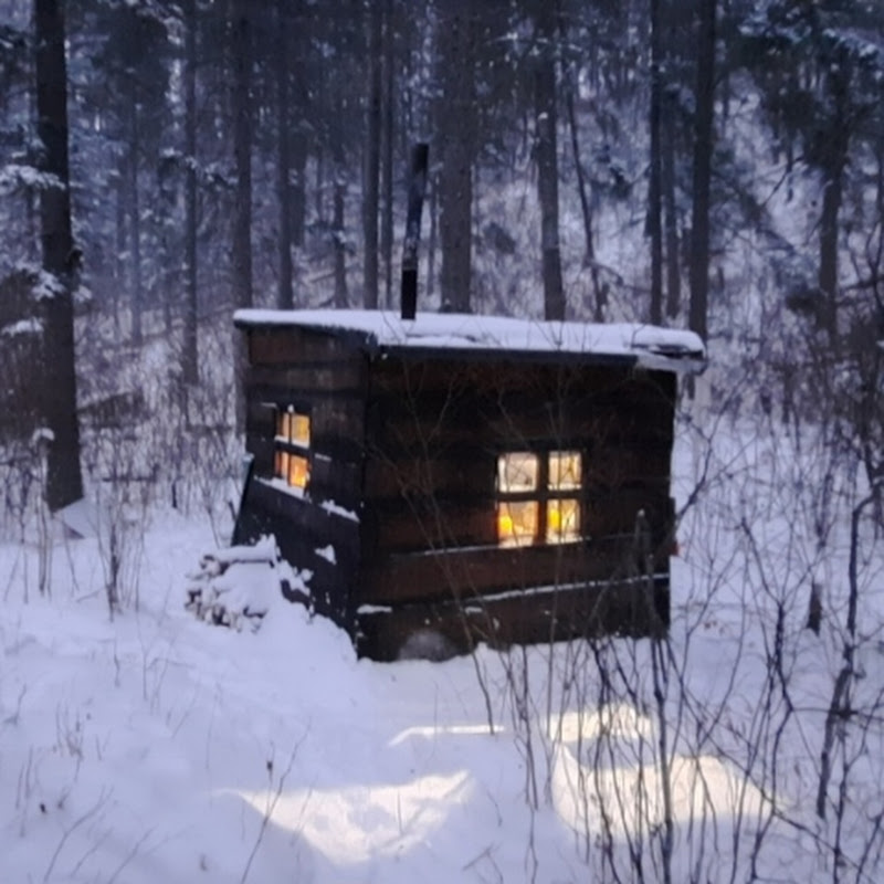 Dark Woods Cabin