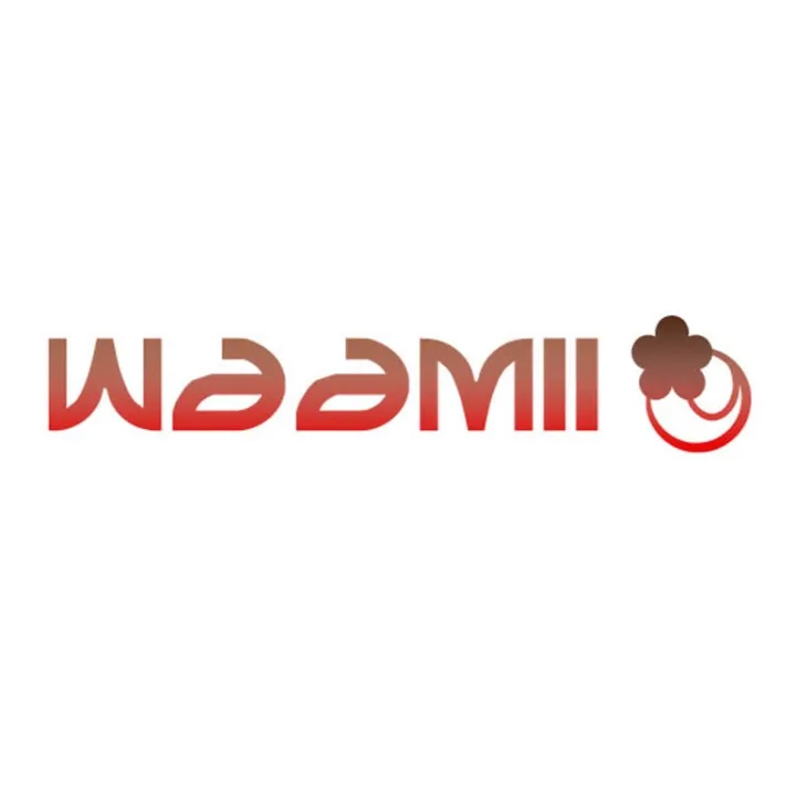 WAAMII