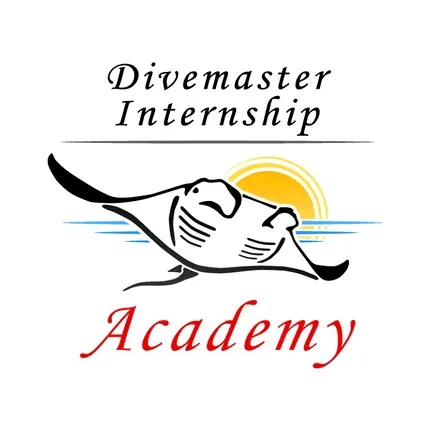 Divemasterinternship
