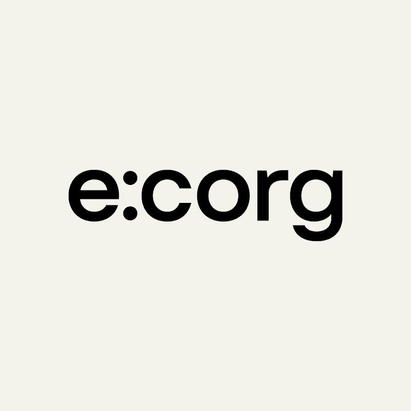 e:corg ERP system