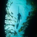 Spearfishing