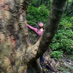Mariya's Wild Pakistan