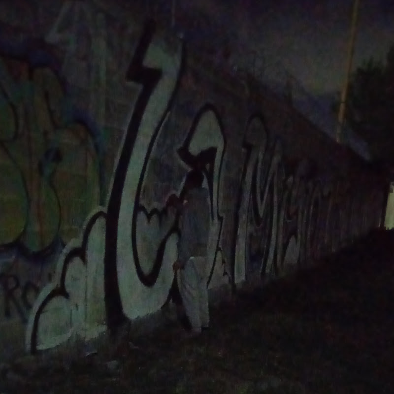 SonoLaMision