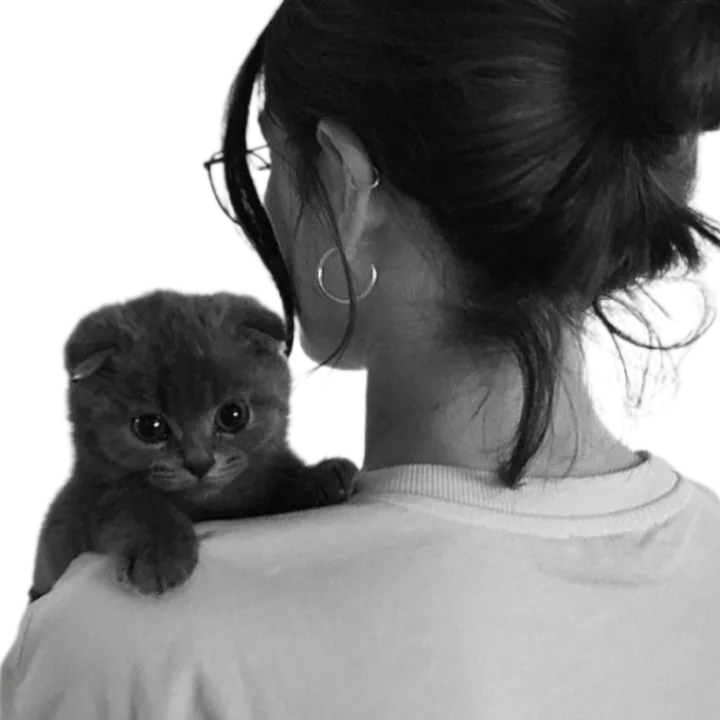 𓆩𝐒𝐀𝐑𝐀⁵⁰⁵𓆪