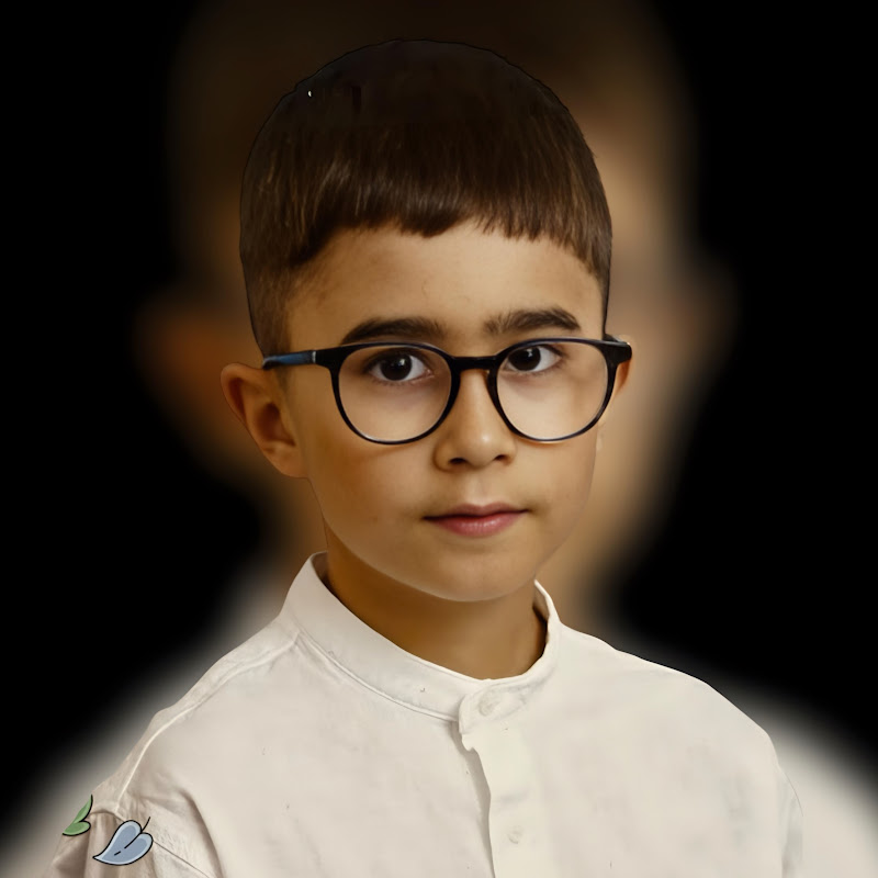Mihai Albert