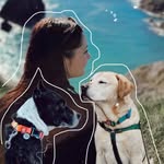 🐾Собаки | Ірландія 🍀