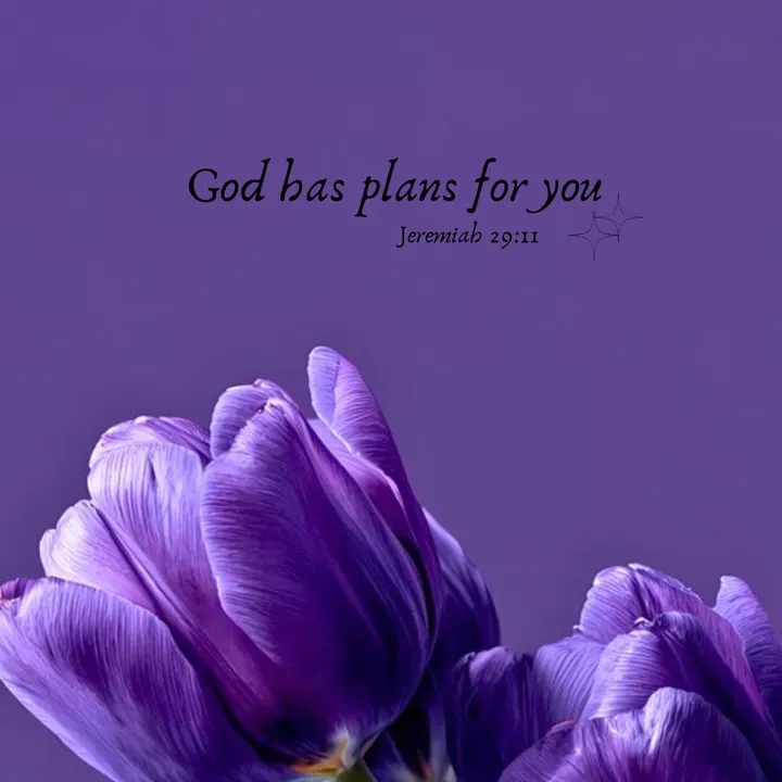 𝙴𝚍𝚍𝚒𝚎’𝚜 𝙹𝚘𝚞𝚛𝚗𝚊𝚕⋆