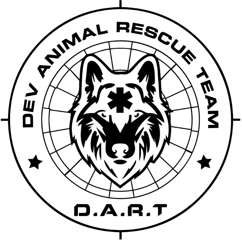 D.A.R.T