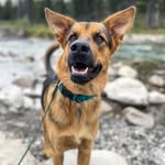 Hey! I'm Benji