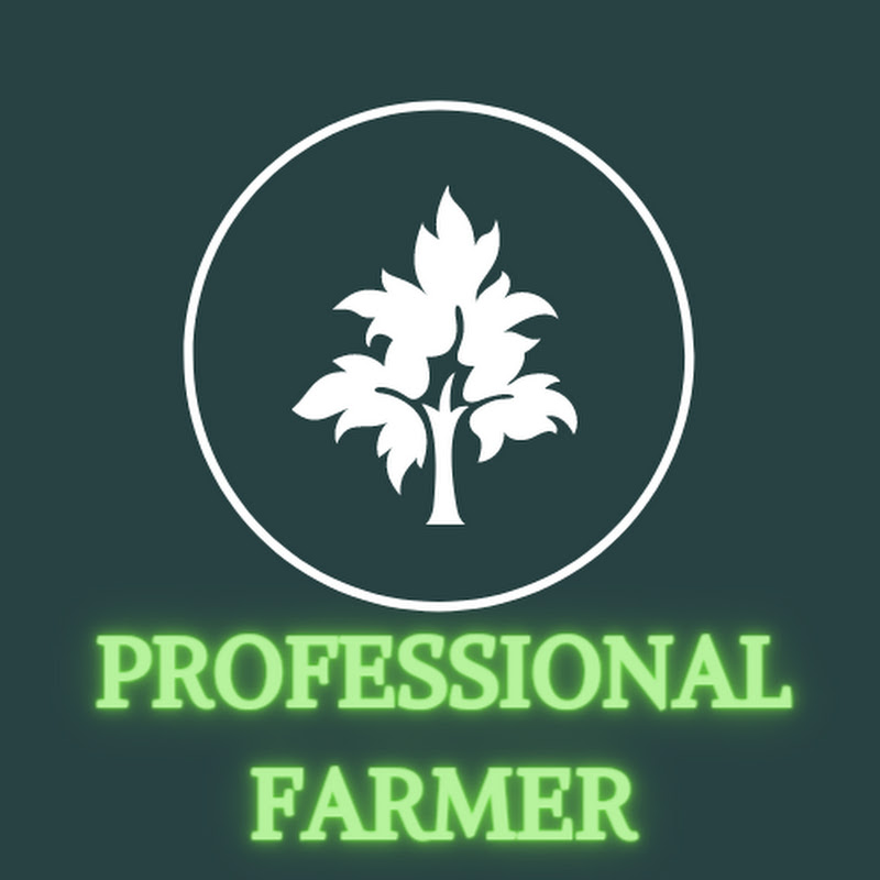 PROFESSIONAL FARMER