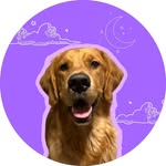 ᴀʟʟʏ & ꜱᴀɴʏᴜ