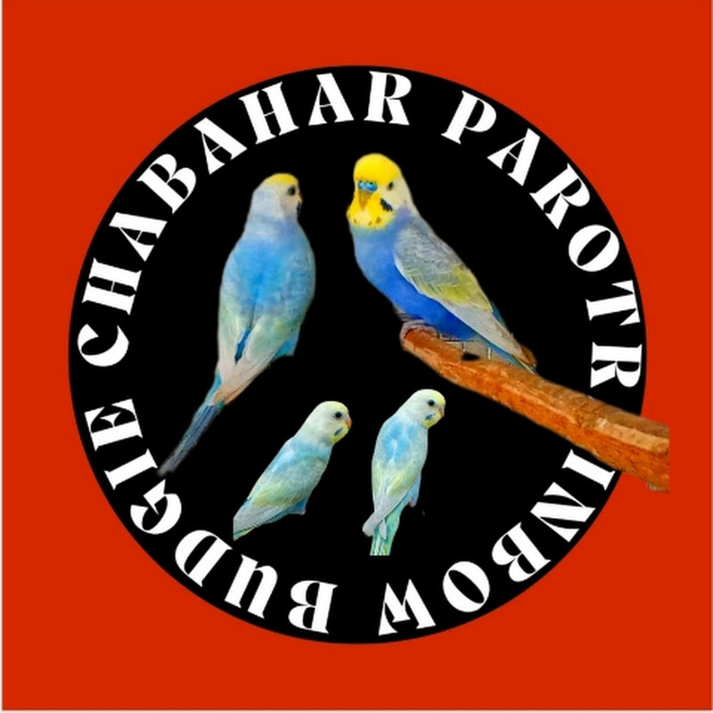 chabahar.parrot