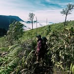 หลังเลนส์