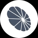 SmartFlower Solar