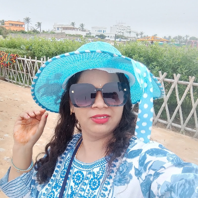 Minakshi Meher Vlogs