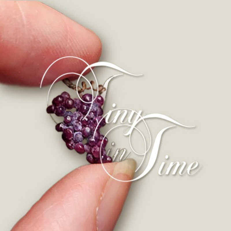 Tiny in Time Miniatures