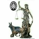 Fundajuridicoanimal Fjpa