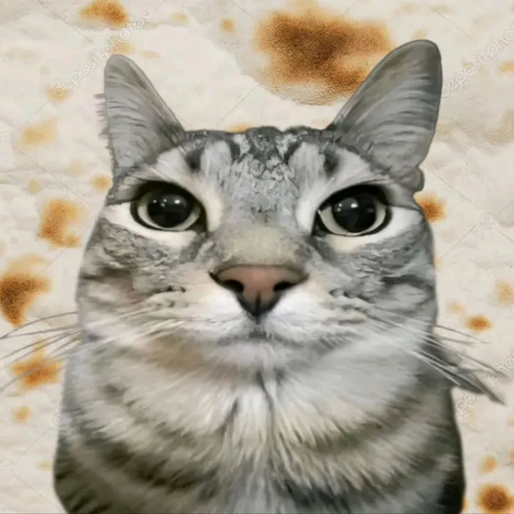 Lavash🍞