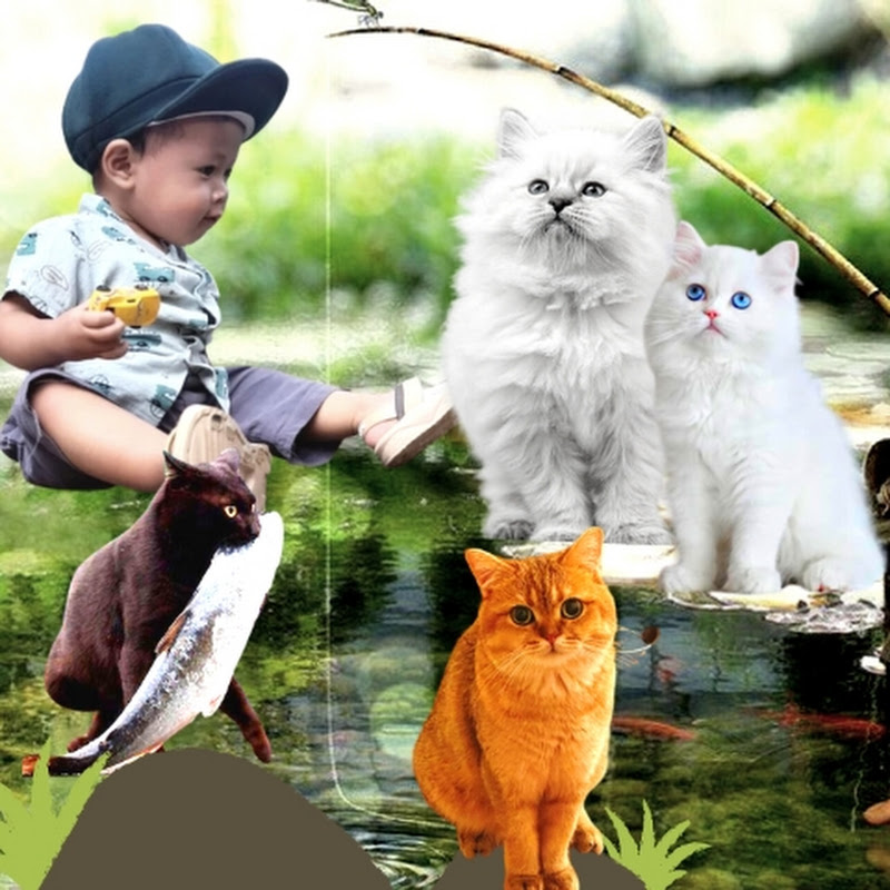 DEVAN CAR TOYS & WILDLIFE