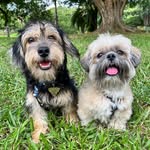 Thor & Loki