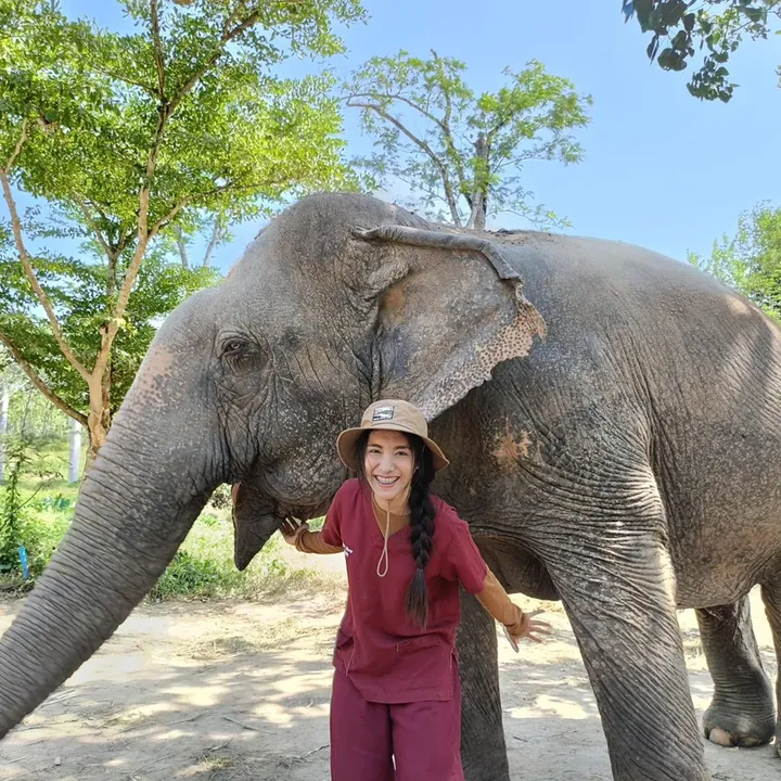 หมอโบว์ รักษาช้าง