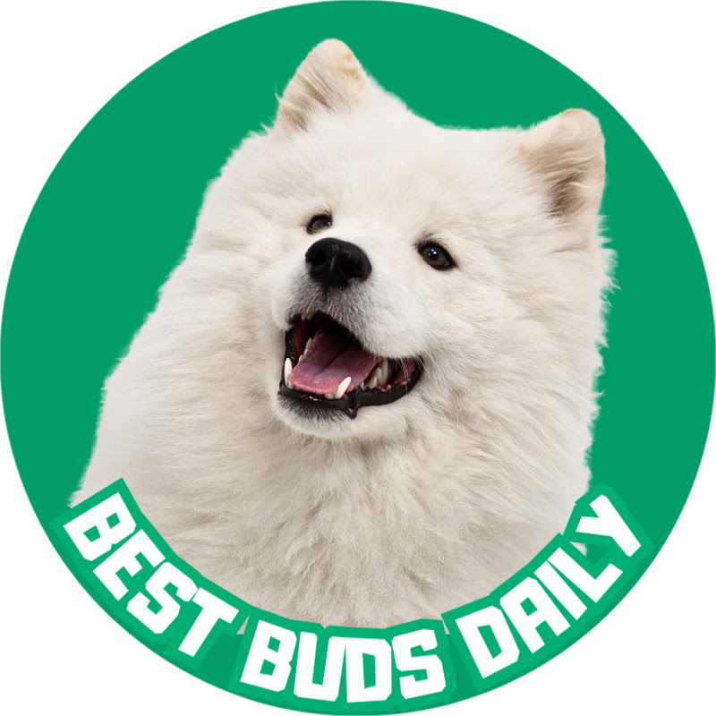 Best Buds Daily