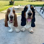 Bruno & Canton