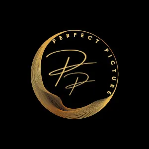 Perfect Picture Tech Services
