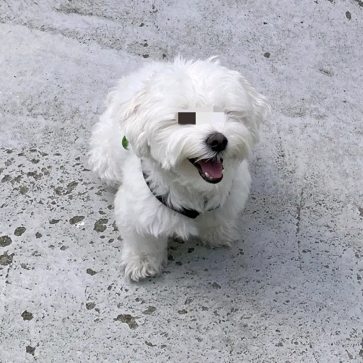 🐰☘️✨권베키🎀🧸🎀