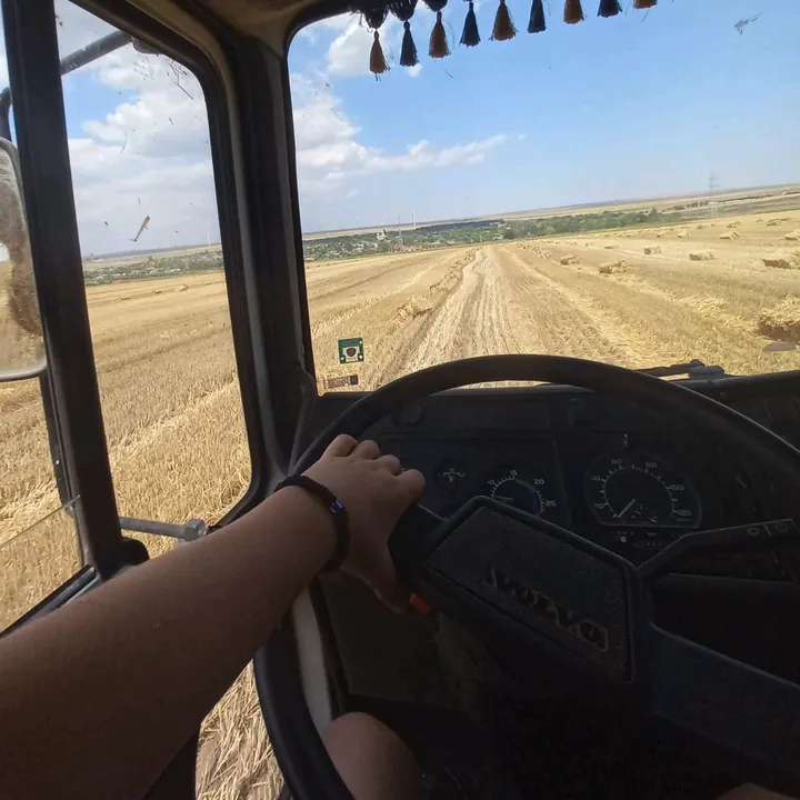 Sîrbu Răducu