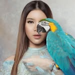 FAN PAGE
