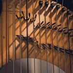 シンシア| Photography