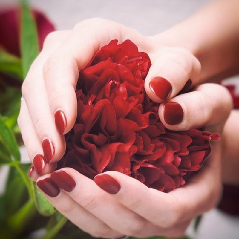 عالم الورود ام انيس