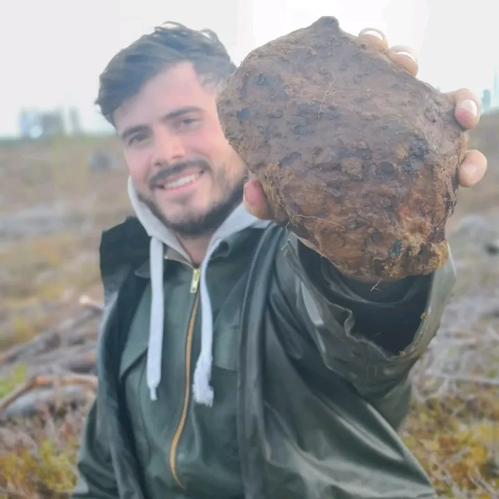 Meteorite Hunting ☄︎