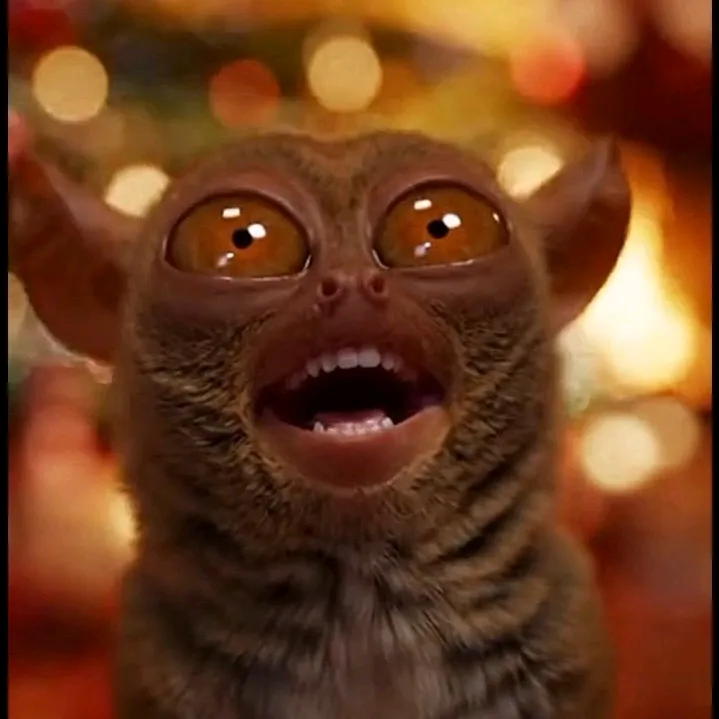 Tarsier Comedy