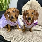 Bella y Morita