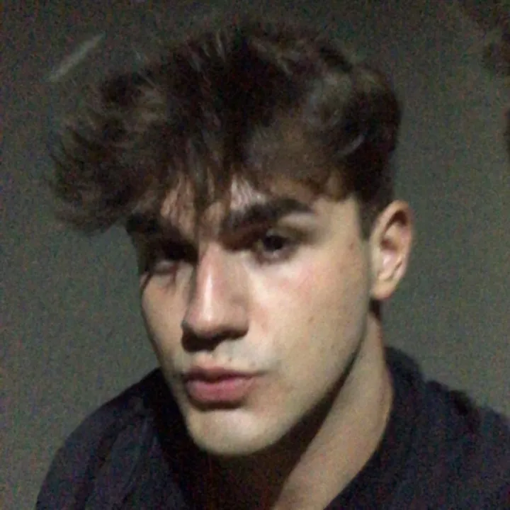 alincensori