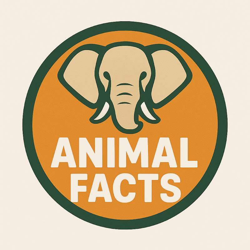 Animal facts