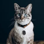 AUDREY