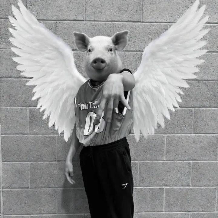 Aiden pork