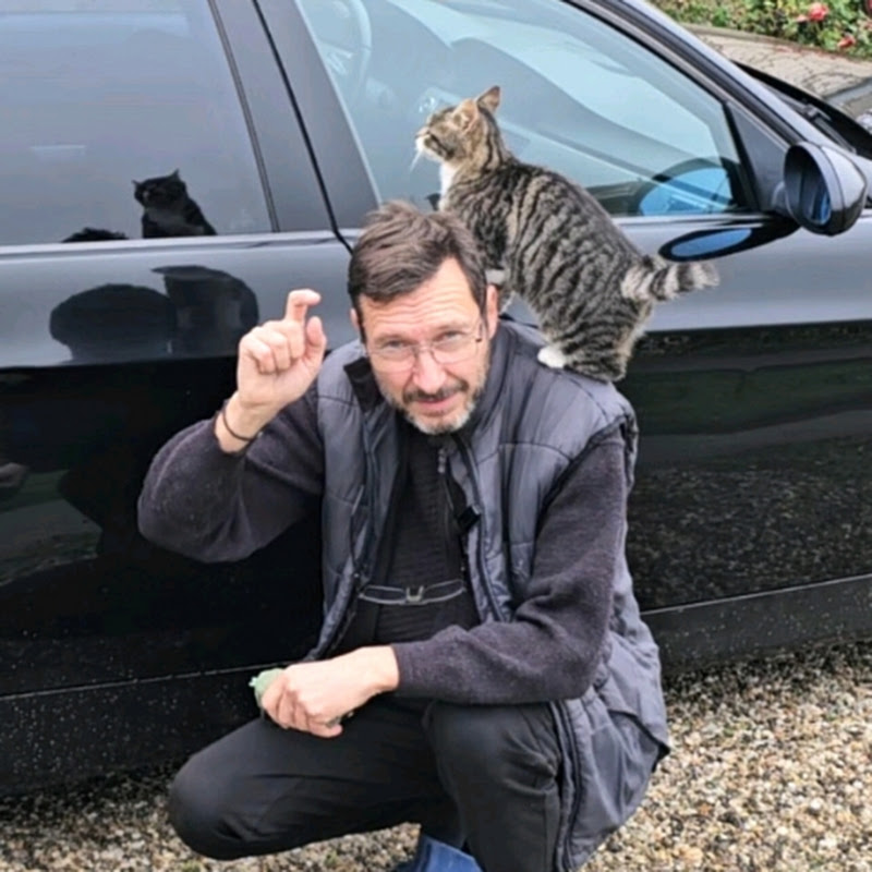 ROATA VIEȚII - The Wheel of Life