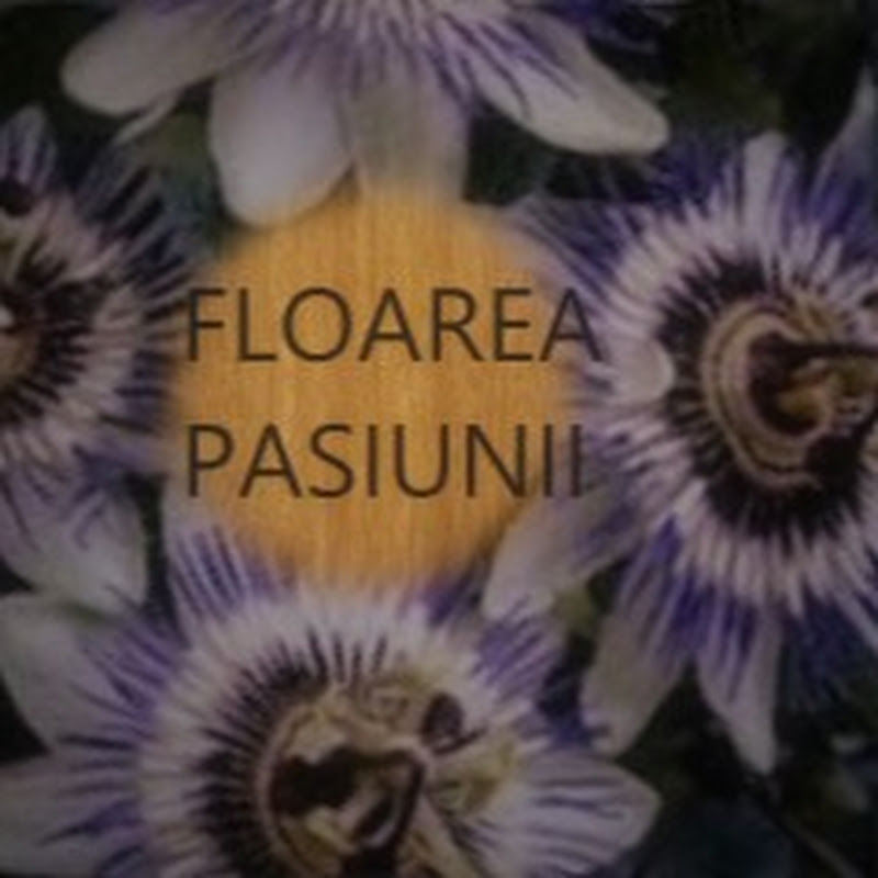 FloareaPasiunii