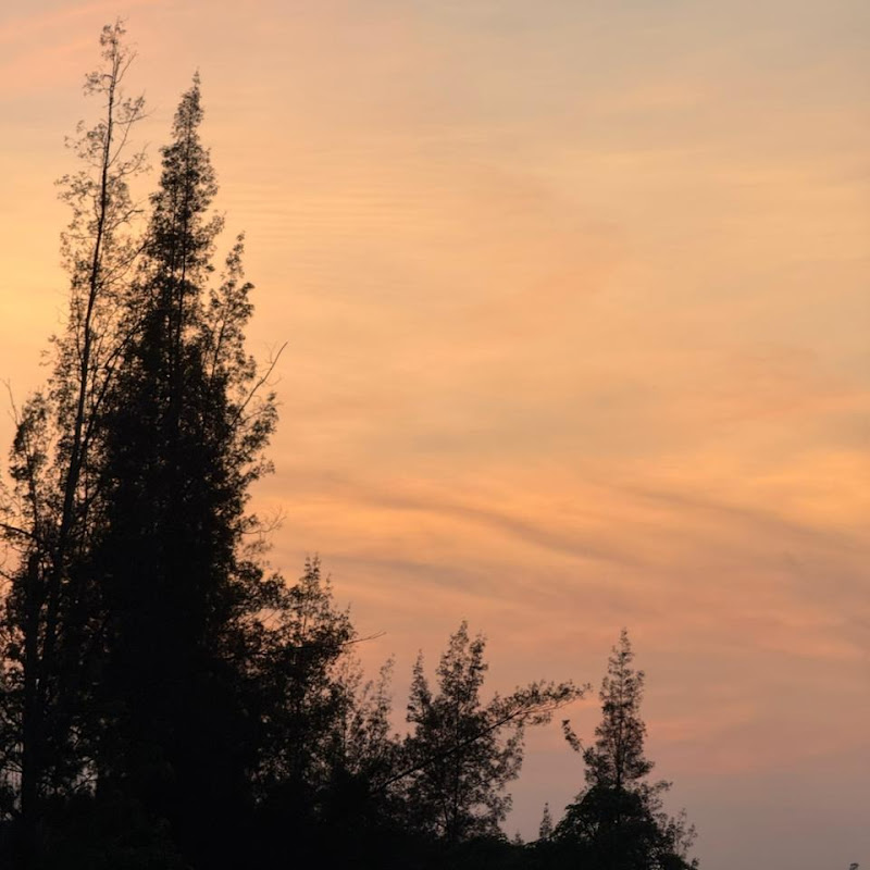 MW Nature