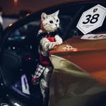 はちのこ　Junko Sato